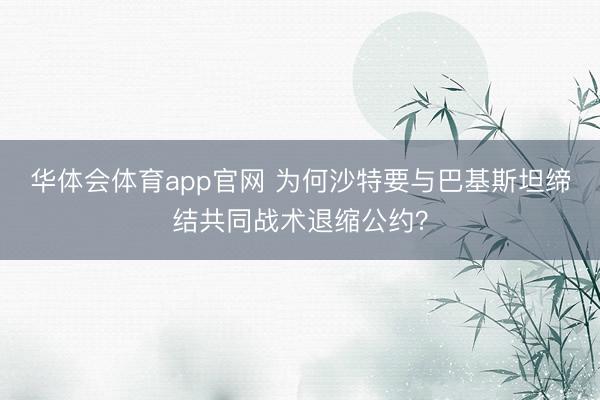 华体会体育app官网 为何沙特要与巴基斯坦缔结共同战术退缩公约?