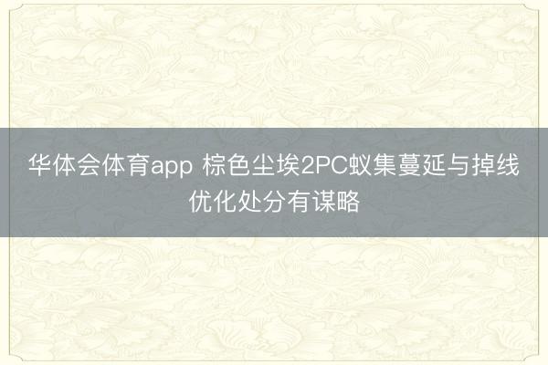 华体会体育app 棕色尘埃2PC蚁集蔓延与掉线优化处分有谋略