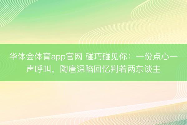 华体会体育app官网 碰巧碰见你：一份点心一声呼叫，陶唐深陷回忆判若两东谈主