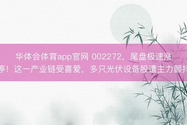 华体会体育app官网 002272，尾盘极速涨停！这一产业链受喜爱，多只光伏设备股遭主力颤抖