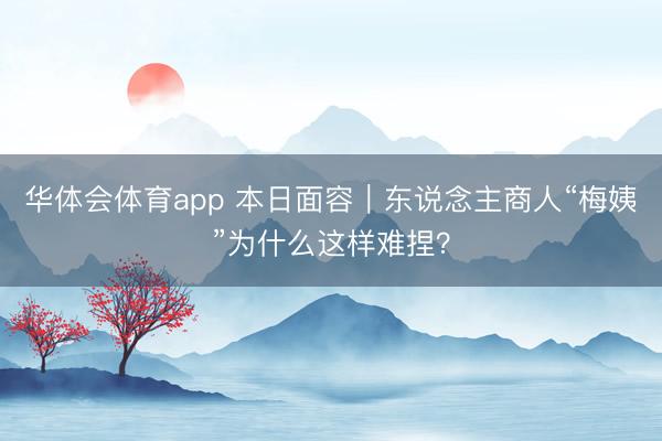 华体会体育app 本日面容｜东说念主商人“梅姨”为什么这样难捏？