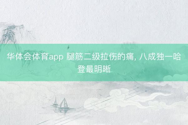 华体会体育app 腿筋二级拉伤的痛， 八成独一哈登最明晰