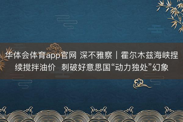 华体会体育app官网 深不雅察︱霍尔木兹海峡捏续搅拌油价 刺破好意思国“动力独处”幻象