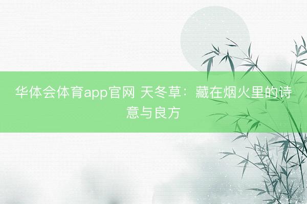 华体会体育app官网 天冬草：藏在烟火里的诗意与良方