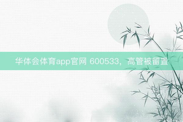 华体会体育app官网 600533，高管被留置