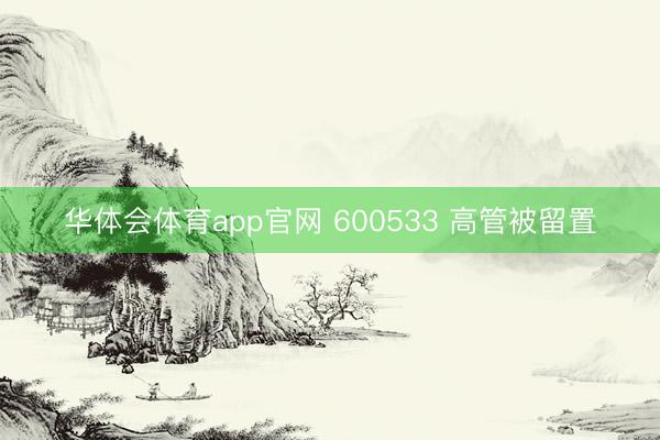 华体会体育app官网 600533 高管被留置